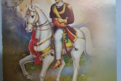 117_horse